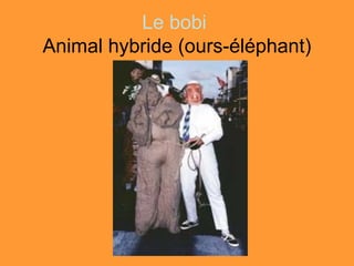 Le bobi
Animal hybride (ours-éléphant)
 