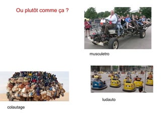 musculetro
ludauto
colautage
Ou plutôt comme ça ?
 