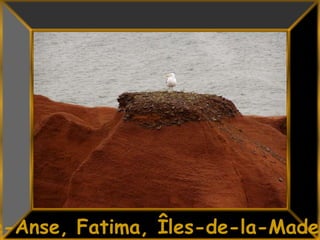 26Belle-Anse, Fatima, Îles-de-la-Madeleine