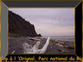 4Cap à l ’Orignal, Parc national du Bic