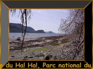 7Baie du Ha! Ha!, Parc national du Bic