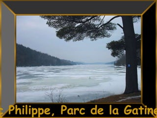 10<br />Lac Philippe, Parc de la Gatineau<br />