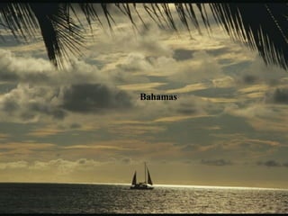 Bahamas