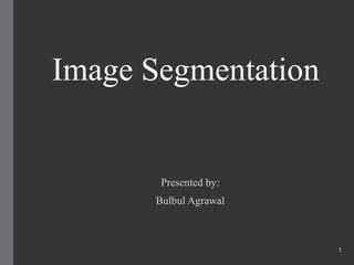 Image Segmentation
Presented by:
Bulbul Agrawal
1
 