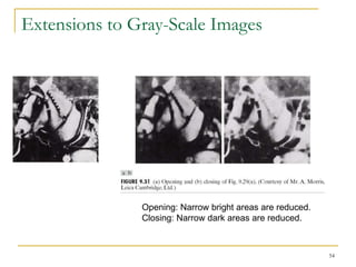 Extensions to Gray-Scale Images




               Opening: Narrow bright areas are reduced.
               Closing: Narrow dark areas are reduced.



                                                           54
 