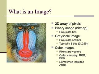What is an Image?
 2D array of pixels
 Binary image (bitmap)
 Pixels are bits
 Grayscale image
 Pixels are scalars
 Typically 8 bits (0..255)
 Color images
 Pixels are vectors
 Order can vary: RGB,
BGR
 Sometimes includes
Alpha
 
