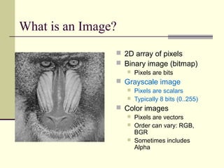 What is an Image?
 2D array of pixels
 Binary image (bitmap)
 Pixels are bits
 Grayscale image
 Pixels are scalars
 Typically 8 bits (0..255)
 Color images
 Pixels are vectors
 Order can vary: RGB,
BGR
 Sometimes includes
Alpha
 