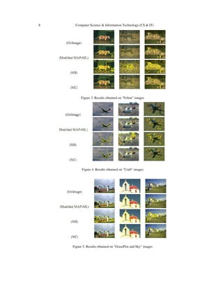 8 Computer Science & Information Technology (CS & IT)
Figure 3. Results obtained on "Feline" images
Figure 4. Results obtained on "Craft" images
Figure 5. Results obtained on "GrassPlot and Sky" images
 