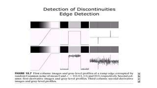 Image segmentation in Digital Image Processing | PPTX