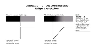 Image segmentation in Digital Image Processing | PPTX