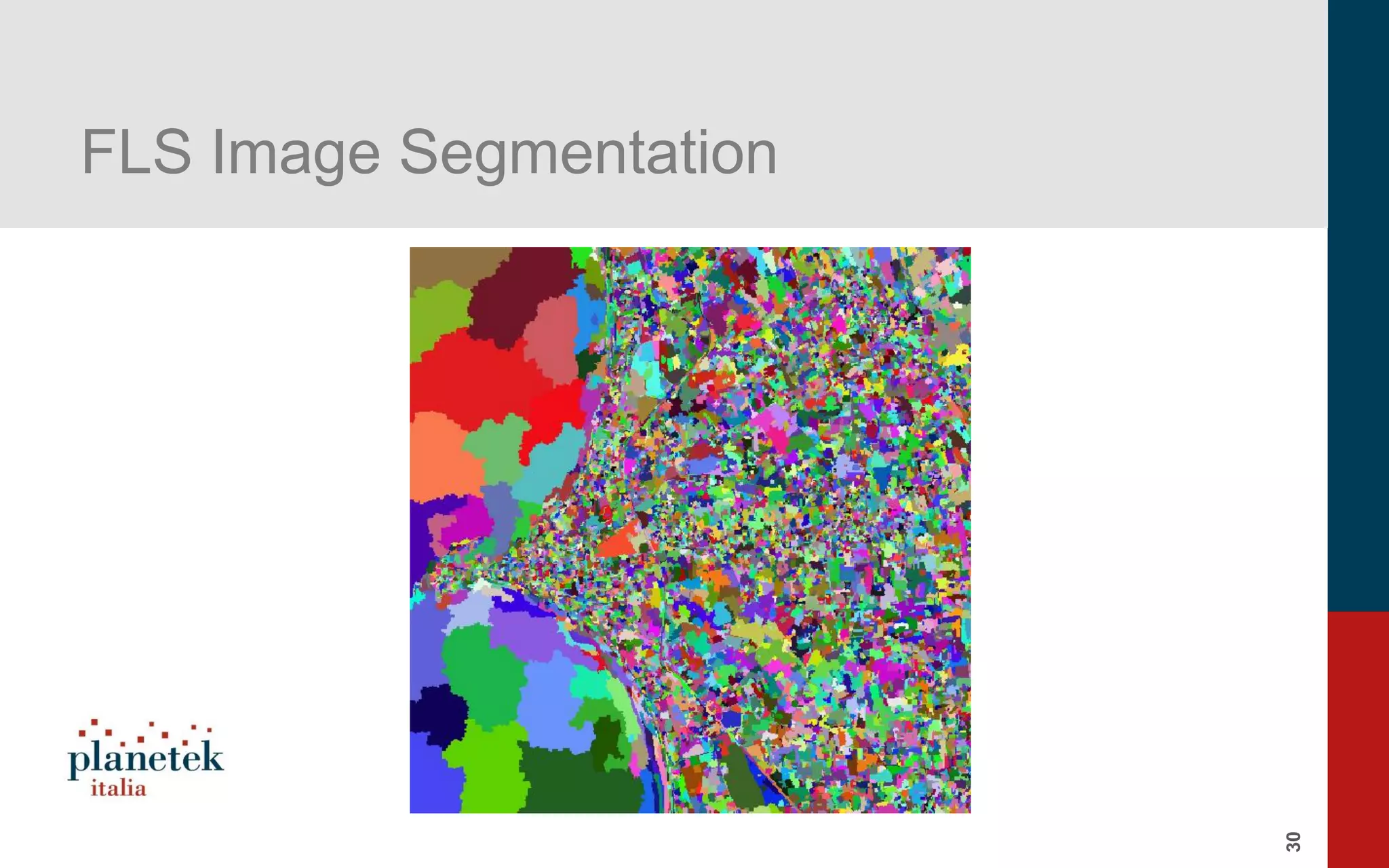 30
FLS Image Segmentation
 