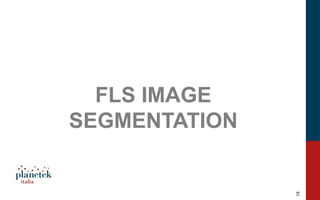 19
FLS IMAGE
SEGMENTATION
 