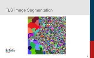30
FLS Image Segmentation
 