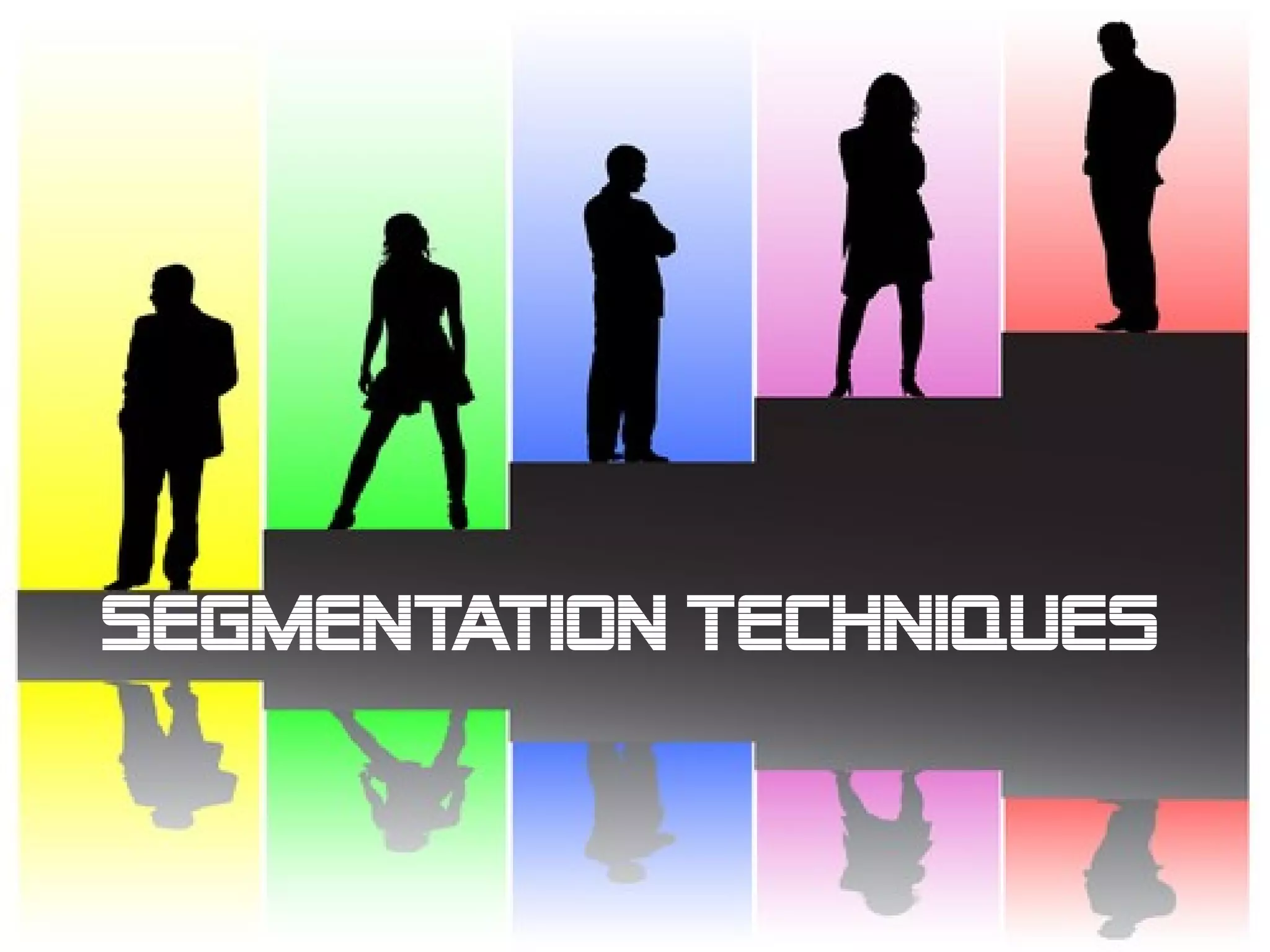 Segmentation techniques
 