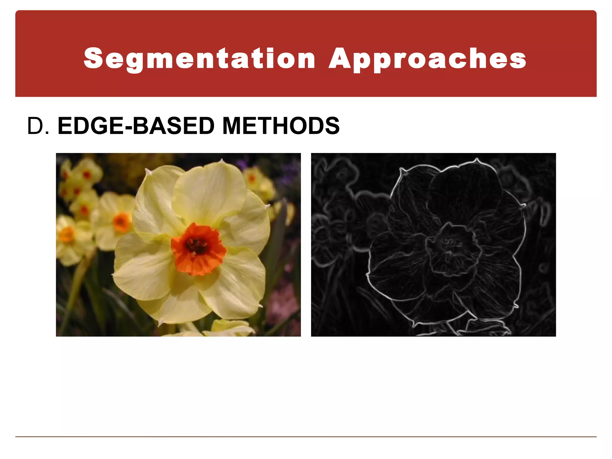 Segmentation Approaches

D. EDGE-BASED METHODS
 