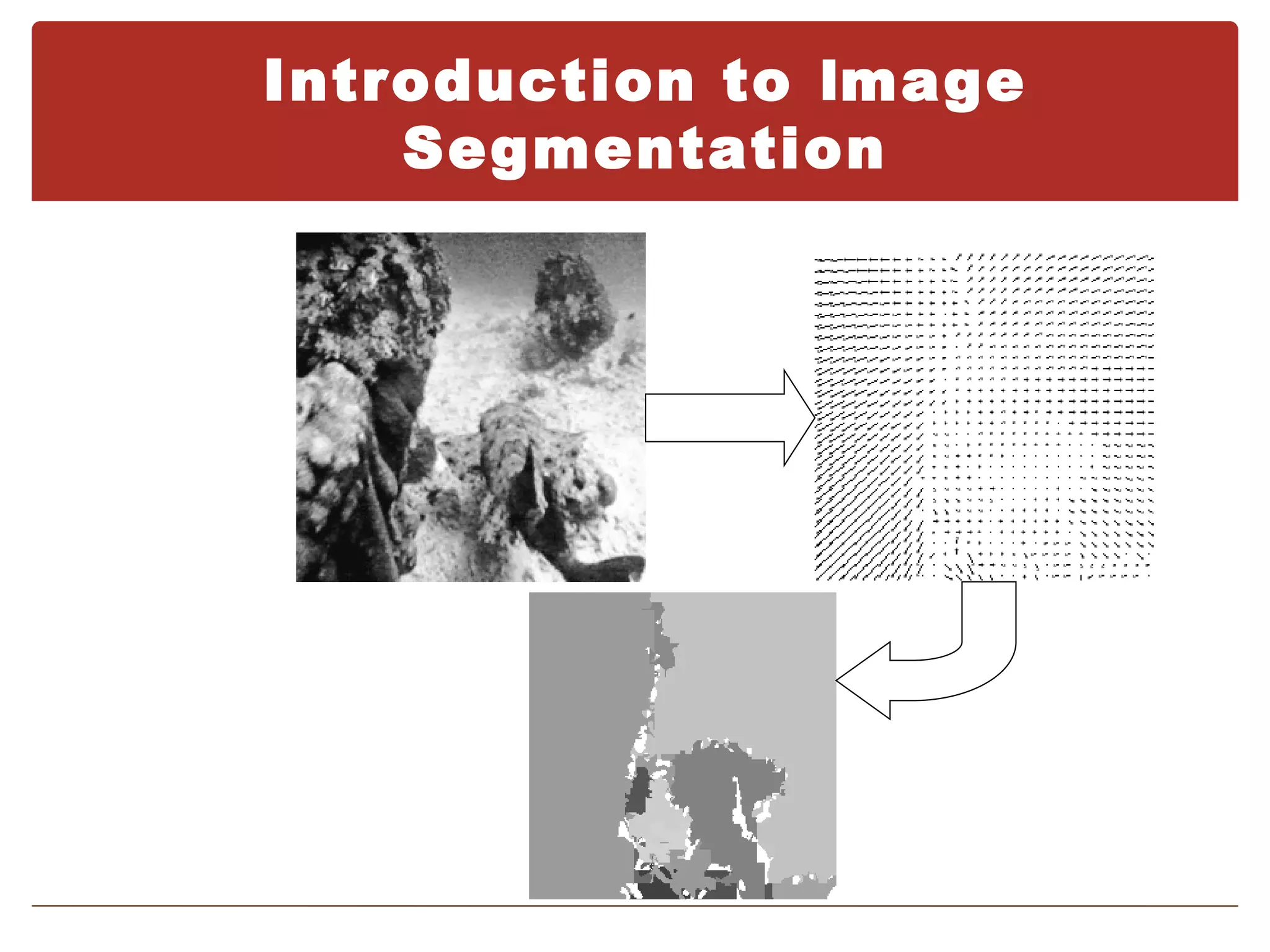 Introduction to Image
    Segmentation
 