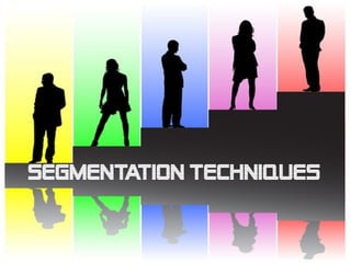 Segmentation techniques
 