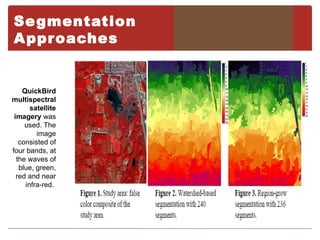 Se gmentation
A ppr oaches


    QuickBird
multispectral
       satellite
 imagery was
     used. The
         image
   consisted of
four bands, at
  the waves of
   blue, green,
  red and near
     infra-red.
 