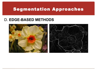 Segmentation Approaches

D. EDGE-BASED METHODS
 