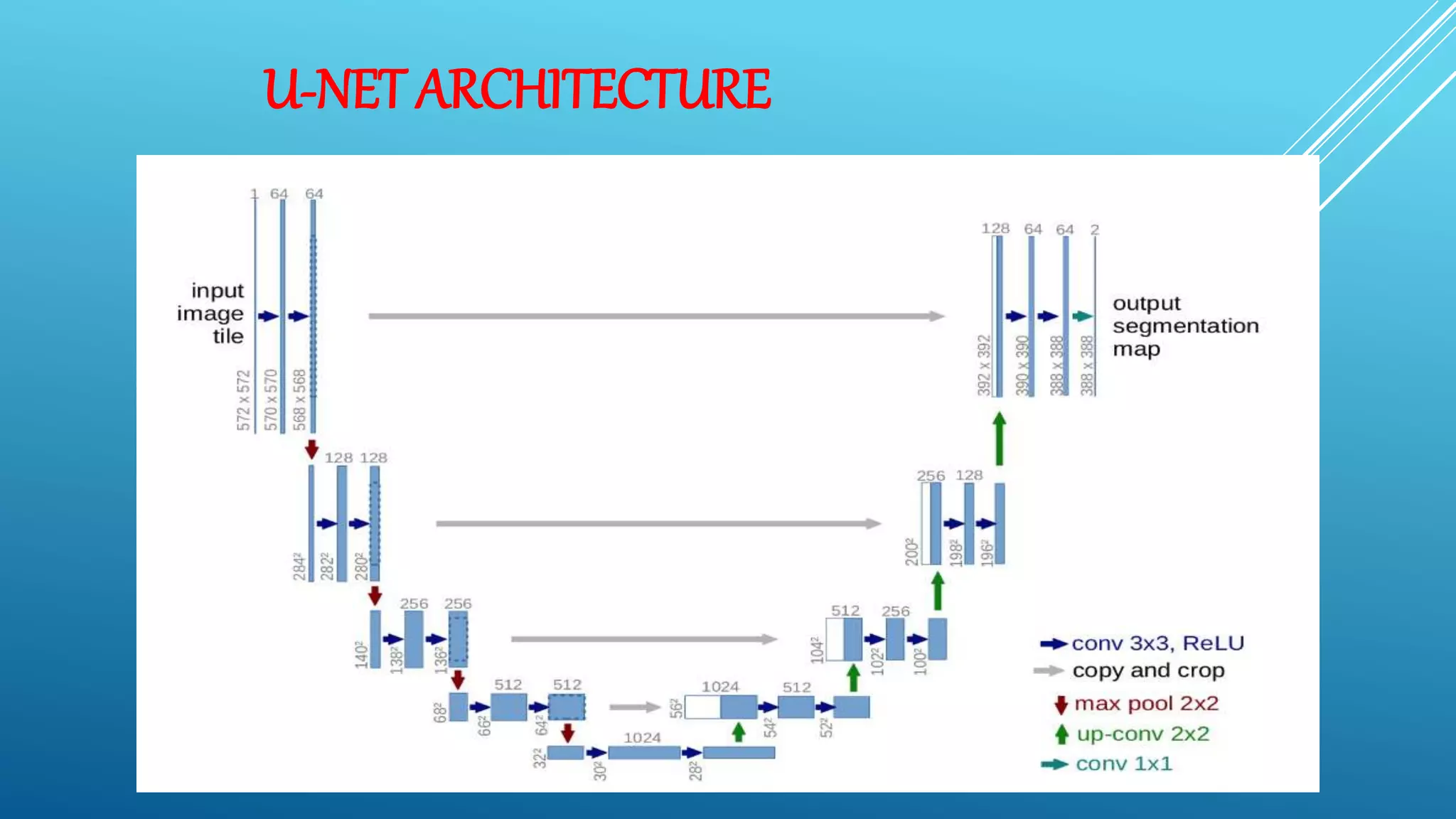 U-NET ARCHITECTURE
 