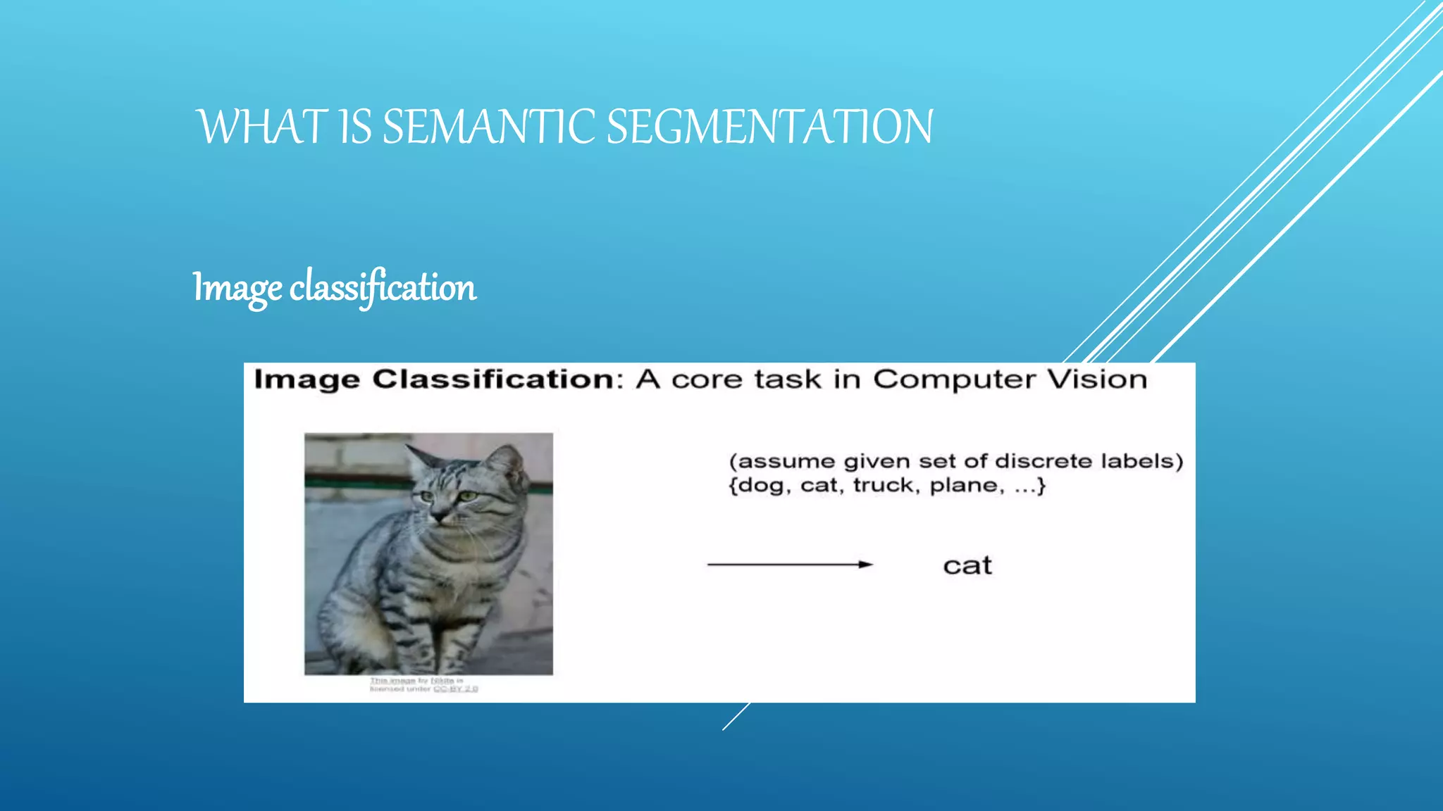 WHAT IS SEMANTIC SEGMENTATION
Image classification
 
