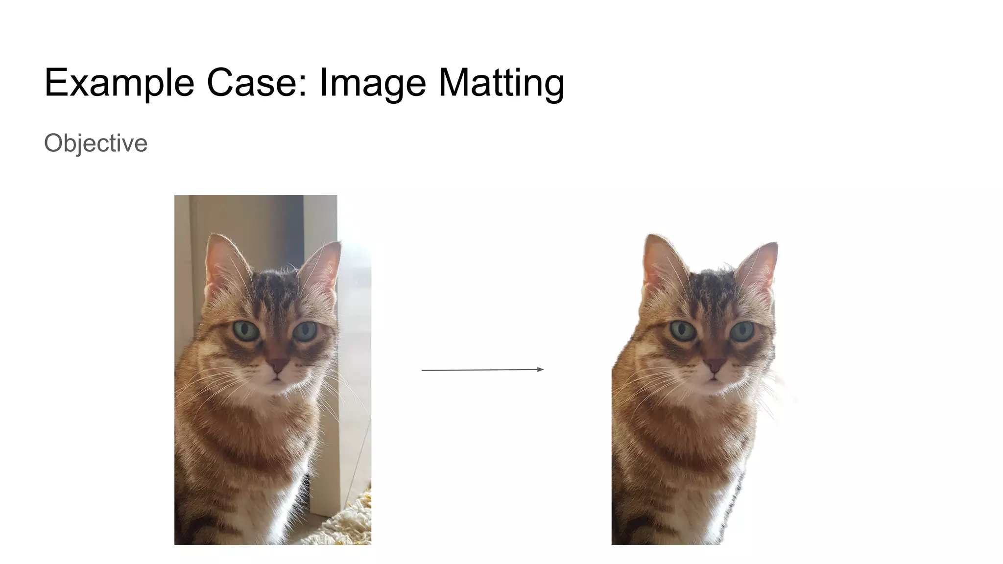 Objective
Example Case: Image Matting
 