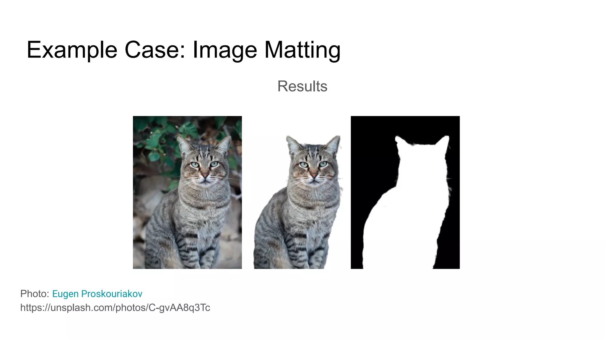 Results
Example Case: Image Matting
Photo: Eugen Proskouriakov
https://unsplash.com/photos/C-gvAA8q3Tc
 