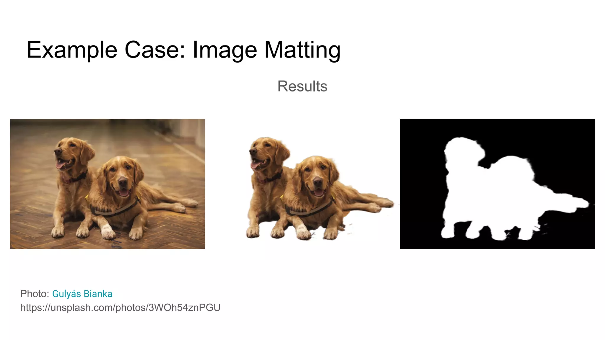 Results
Example Case: Image Matting
Photo: Gulyás Bianka
https://unsplash.com/photos/3WOh54znPGU
 