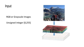 Input
RGB or Grayscale Images
Unsigned integer [0,255]
 