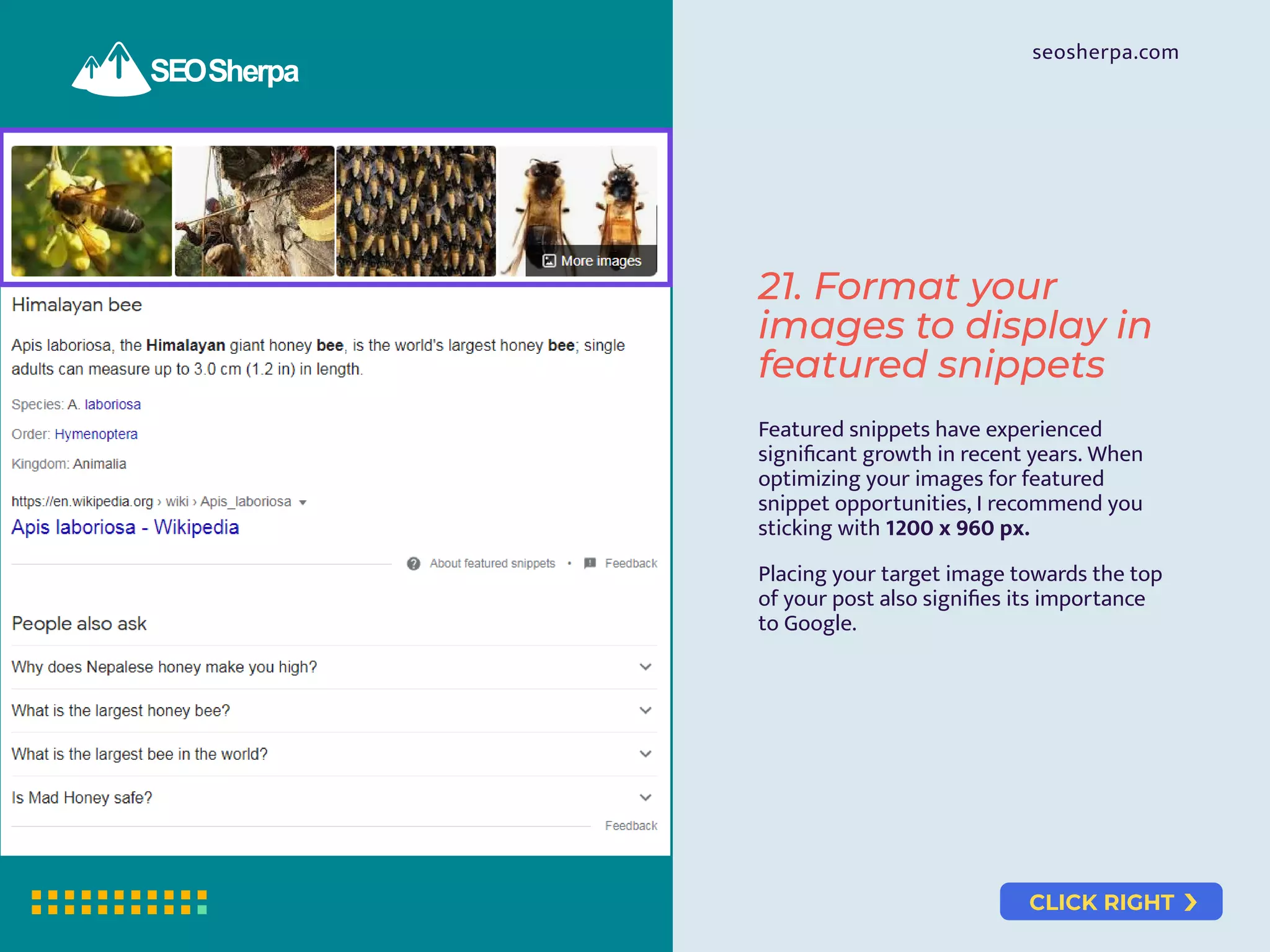 CLICK RIGHT
seosherpa.com
21. Format your
images to display in
featured snippets
Featured snippets have experienced
signiﬁcant growth in recent years. When
optimizing your images for featured
snippet opportunities, I recommend you
sticking with 1200 x 960 px.
Placing your target image towards the top
of your post also signiﬁes its importance
to Google.
 
