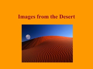 Images from the Desert 