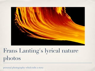 Frans Lanting's lyrical nature
photos
personal photography which tells a story
 