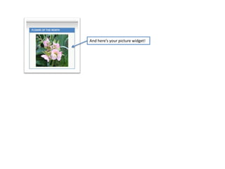 And here’s your picture widget!
 