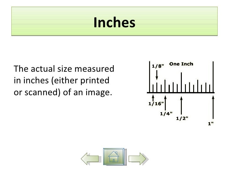 inch actual size inch actual size