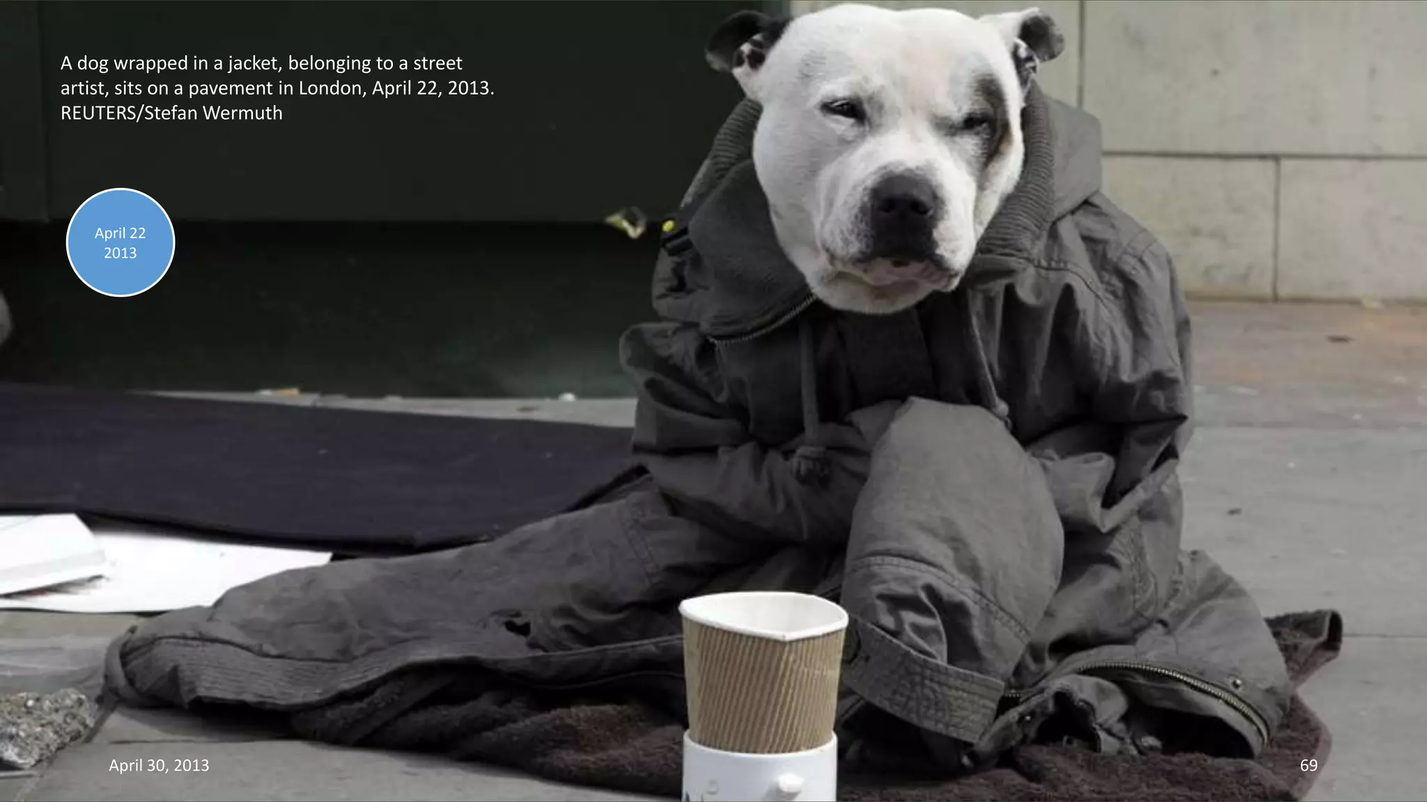 A dog wrapped in a jacket, belonging to a street
artist, sits on a pavement in London, April 22, 2013.
REUTERS/Stefan Wermuth
April 22
2013
April 30, 2013 69
 