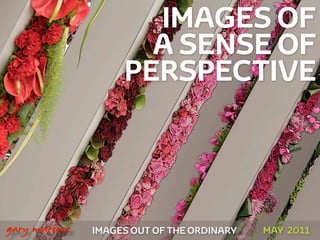 IMAGES OF
                          A SENSE OF
                        PERSPECTIVE



!



    gary marlowe   IMAGES OUT OF THE ORDINARY   MAY 2011
 