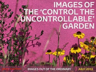 IMAGES OF
                THE ‘CONTROL THE
               UNCONTROLLABLE’
                         GARDEN



!



    gary marlowe   IMAGES OUT OF THE ORDINARY   JULY 2011
 