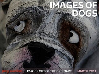 IMAGES OF
                                    DOGS




!



    gary marlowe   IMAGES OUT OF THE ORDINARY SEPTEMBER 2011
 