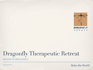 Dragonfly Therapeutic Retreat
IMAGES OF DRAGONFLY

January 2011
                         Relax the World!
 