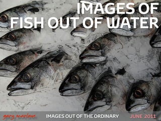 IMAGES OF
      FISH OUT OF WATER




!



    gary marlowe   IMAGES OUT OF THE ORDINARY   JUNE 2011
 