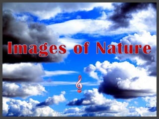 Images of Nature 