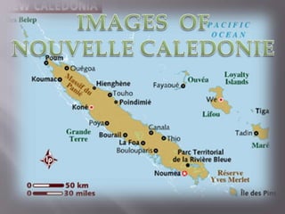 IMAGES  OF NOUVELLE CALEDONIE 