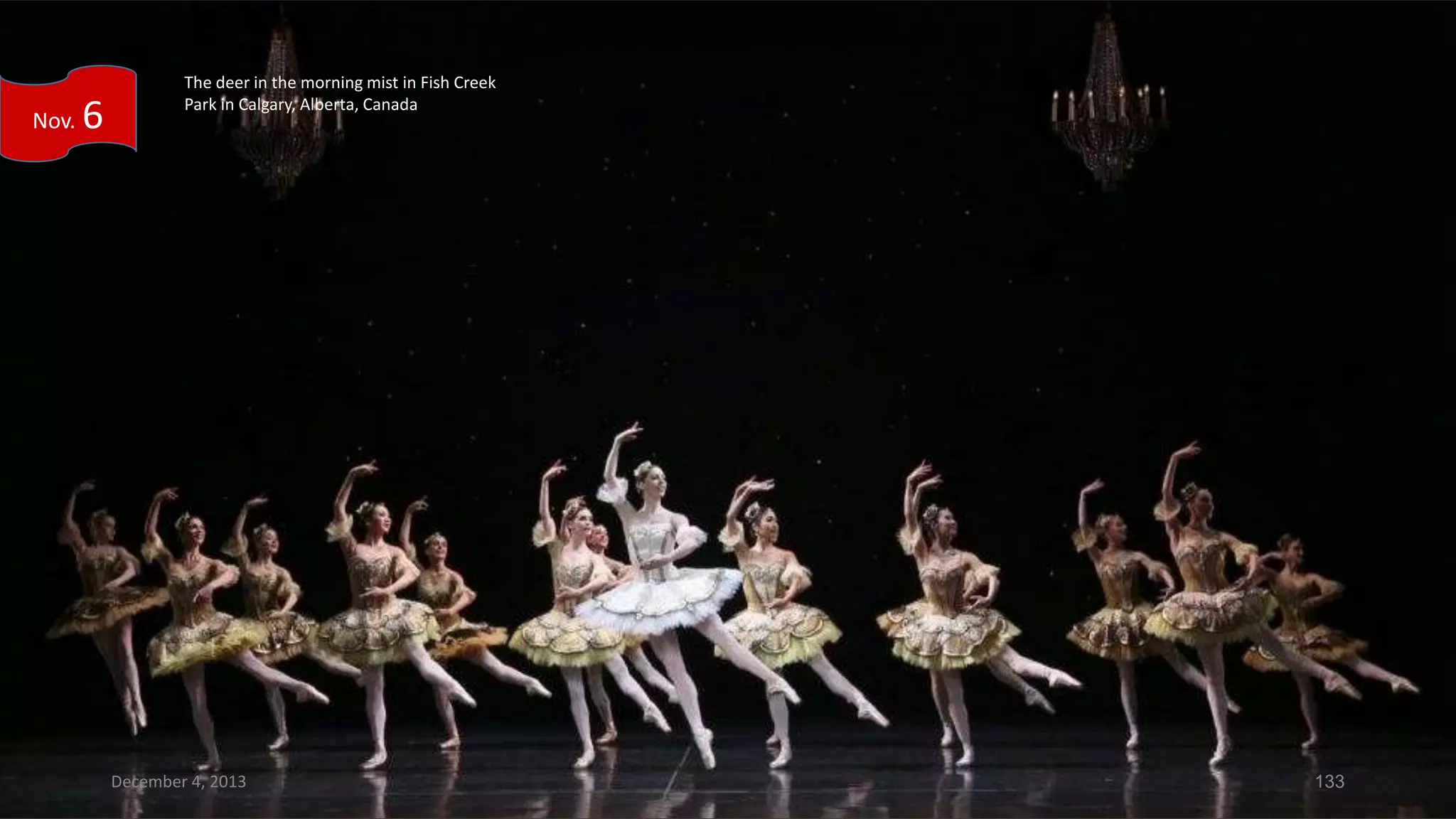 Nov.

6

The deer in the morning mist in Fish Creek
Park in Calgary, Alberta, Canada

December 4, 2013

133

 