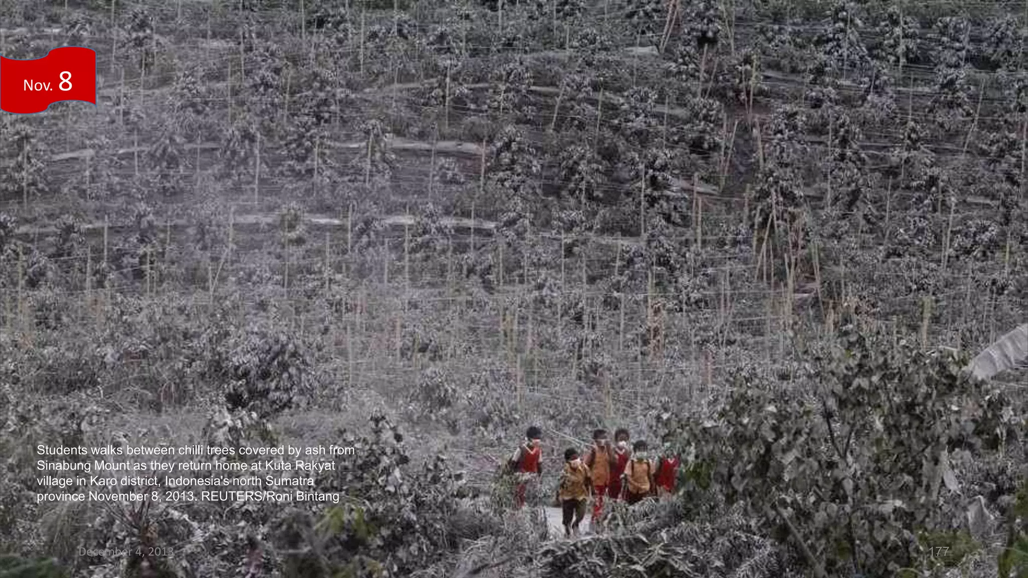 Nov.

8

Students walks between chilli trees covered by ash from
Sinabung Mount as they return home at Kuta Rakyat
village in Karo district, Indonesia's north Sumatra
province November 8, 2013. REUTERS/Roni Bintang

December 4, 2013

177

 