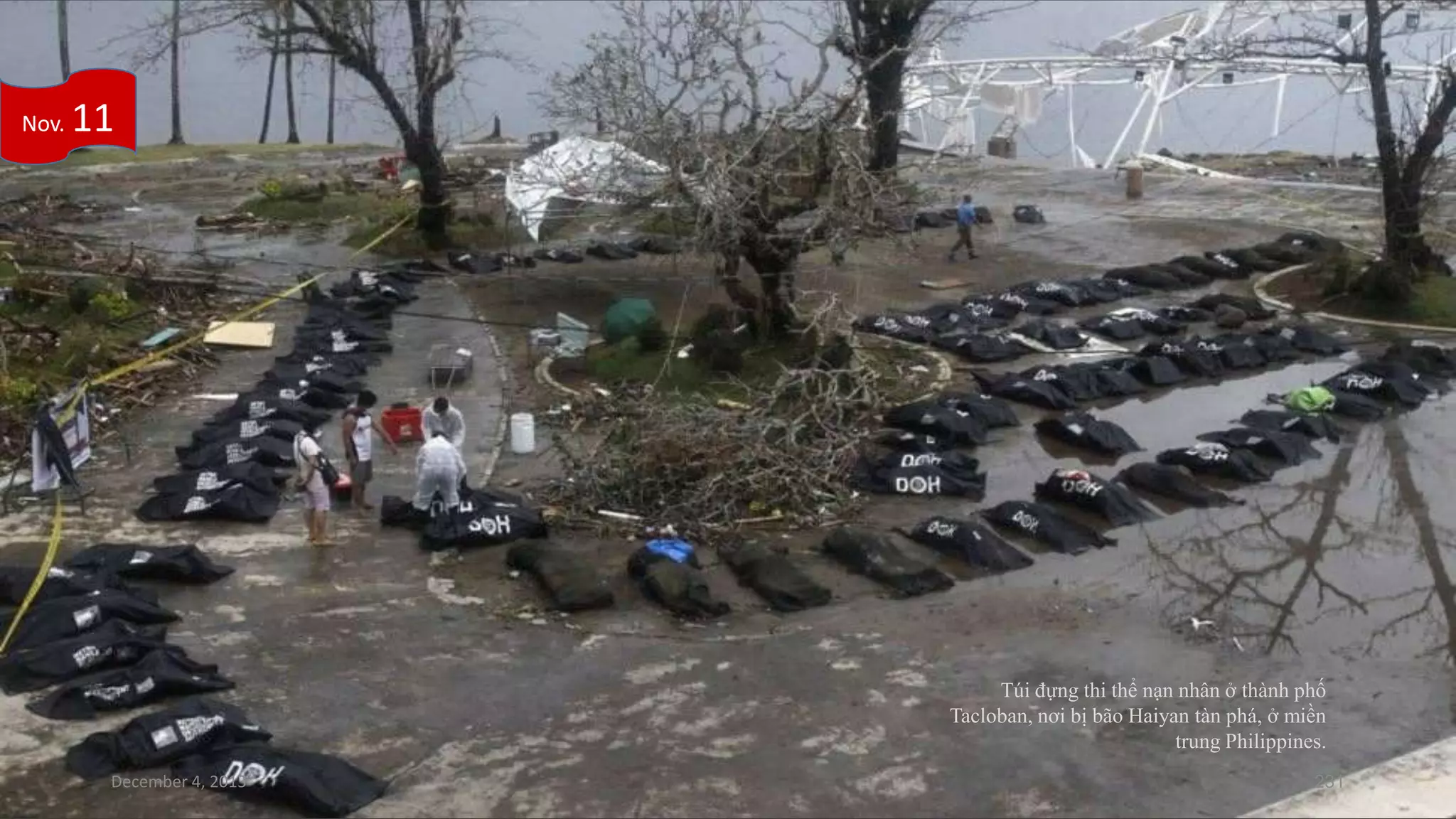 Nov.

11

Túi đựng thi thể nạn nhân ở thành phố
Tacloban, nơi bị bão Haiyan tàn phá, ở miền
trung Philippines.
December 4, 2013

231

 