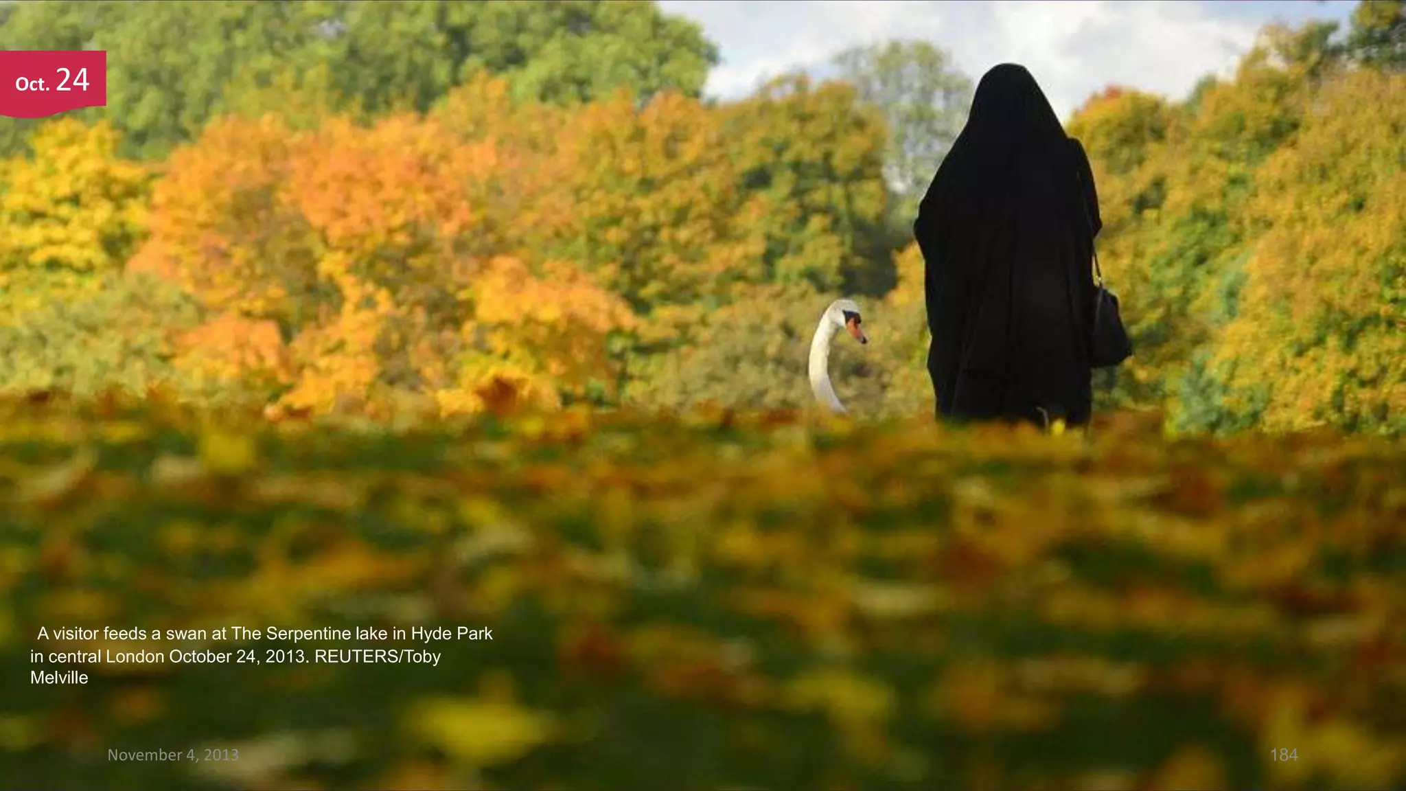 Oct.

24

A visitor feeds a swan at The Serpentine lake in Hyde Park
in central London October 24, 2013. REUTERS/Toby
Melville

November 4, 2013

184

 