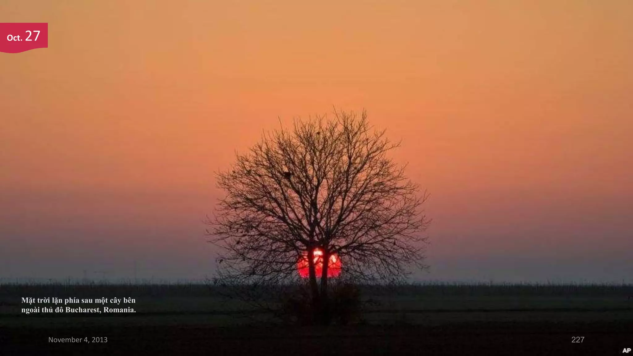 Oct.

27

Mặt trời lặn phía sau một cây bên
ngoài thủ đô Bucharest, Romania.

November 4, 2013

227

 