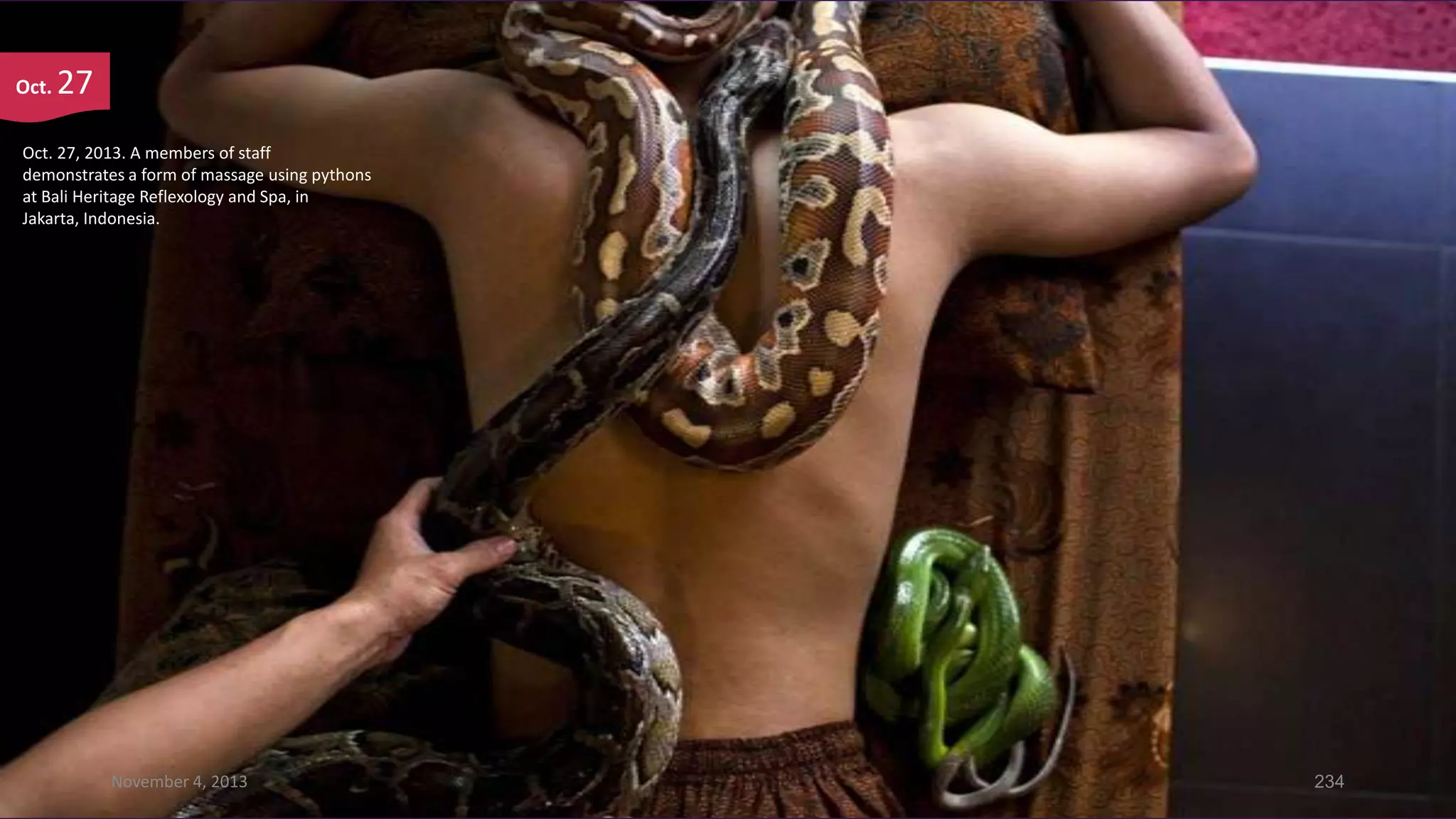 Oct.

27

Oct. 27, 2013. A members of staff
demonstrates a form of massage using pythons
at Bali Heritage Reflexology and Spa, in
Jakarta, Indonesia.

November 4, 2013

234

 