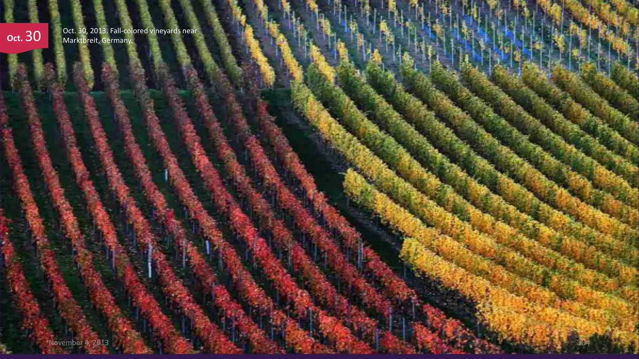 Oct.

30

Oct. 30, 2013. Fall-colored vineyards near
Marktbreit, Germany.

November 4, 2013

304

 