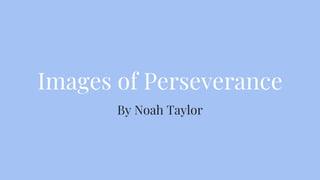 Images of Perseverance
By Noah Taylor
 